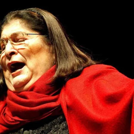 Ataque de un funcionario de Milei a Mercedes Sosa: cómo llegó al Congreso