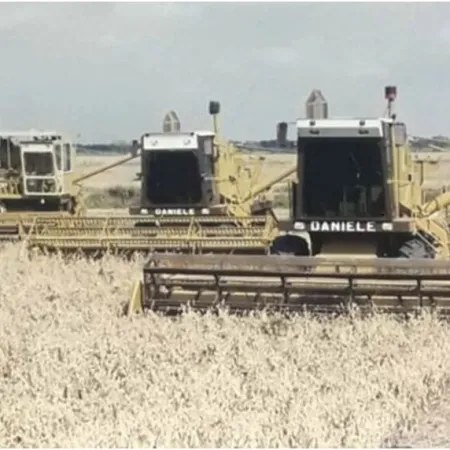 Malvinas y el campo: los números del agro en 1982 frente a la campaña actual