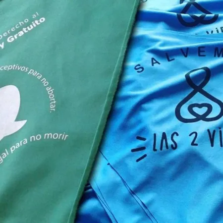 Aborto legal en PBA: un ex LLA volvió a presentar un polémico proyecto