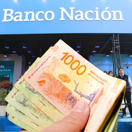 La Libertad Avanza y créditos del Banco Nación: quiénes aparecen en los registros
