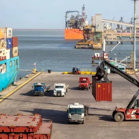 SENASA al límite: las causas de fondo detrás del freno de las exportaciones