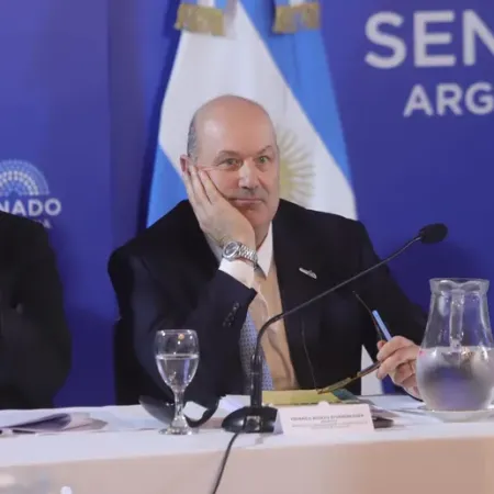 Propiedad privada y tierras extranjeras: choque entre Sturzenegger y oposición