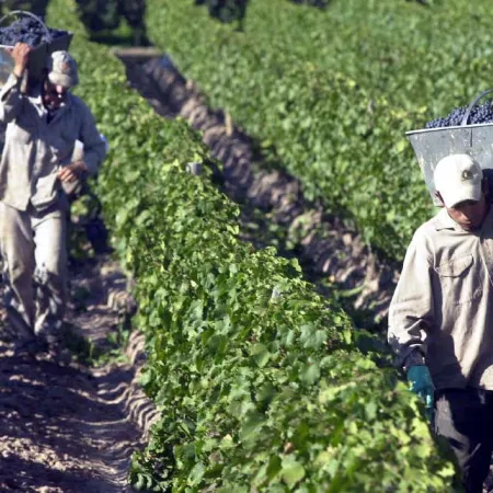 Bodegas y viñedos: cómo fue el acuerdo salarial que cerró FOEVA