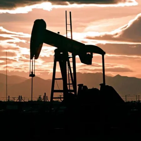 Salta y una joya dormida: el reclamo a Milei desde LLA por una posible Vaca Muerta