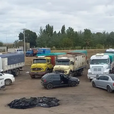La semana del agro, entre el conflicto de camioneros y un nuevo récord en maíz