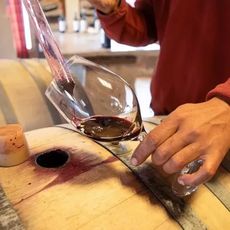 Noche de Bodegas llega a Centenario para celebrar el vino argentino
