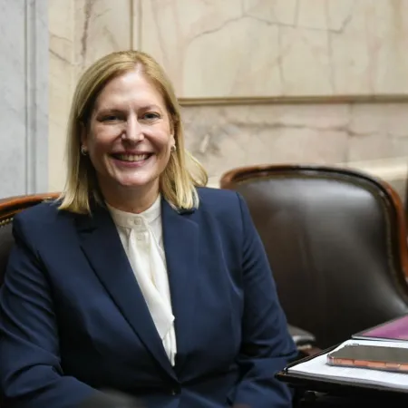 Ficha Limpia vuelve al Congreso: el punto que puede trabar candidaturas