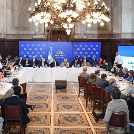 Senado: el proyecto sobre propiedad privada vuelve a comisión con fuertes cruces