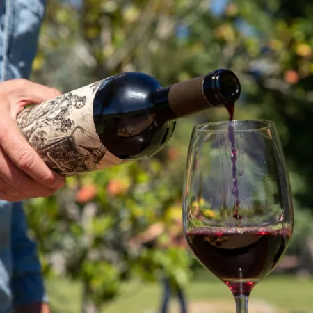 Día Mundial del Malbec: el detalle que explica su dominio en Argentina