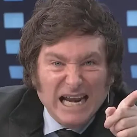 Una encuesta muestra datos que preocupan a Milei