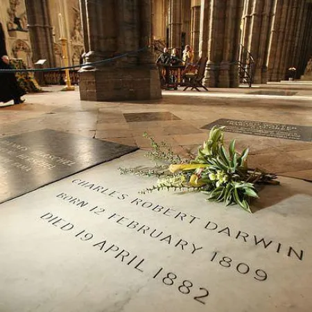 Darwin pasó por Argentina y ahí cambió la historia de la ciencia