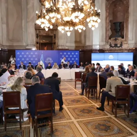 Milei abre la pelea por las tierras y una cláusula enciende alertas en el Senado