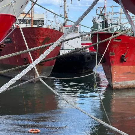 Alerta en Mar del Plata: Peligran miles de empleos ante un cambio para la pesca