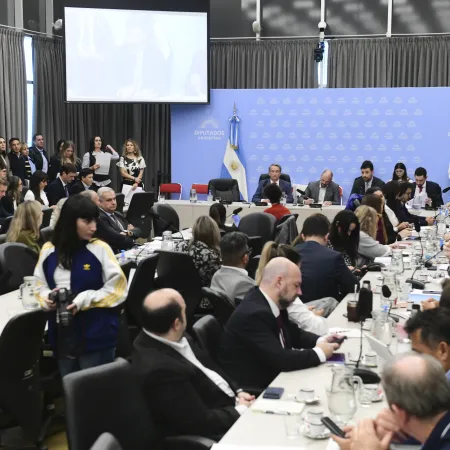 Diputados y una jornada clave: qué pasó con la Ley Hojarasca