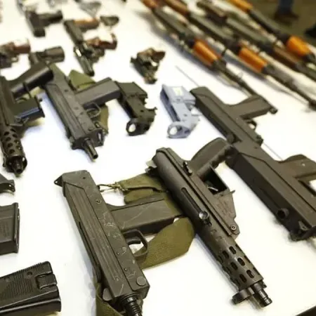 Milei y Bullrich aceleran en el Senado una ley que cambia la tenencia de armas