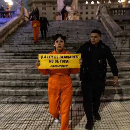 Es oficial la Ley de Glaciares: actividades prohibidas y provincias empoderadas