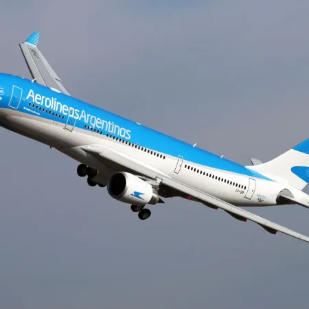 Vuelos, demoras y Servicio Meteorológico "bis": el polémico decreto de Milei