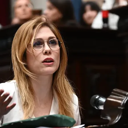 Lilia Lemoine expone la denuncia que pone bajo la lupa la pauta en Provincia