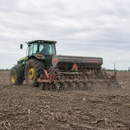 El campo estira su definición de cara a la siembra de trigo en PBA: los motivos