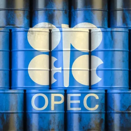 La OPEP pierde peso y Argentina abre una ventana para exportar más