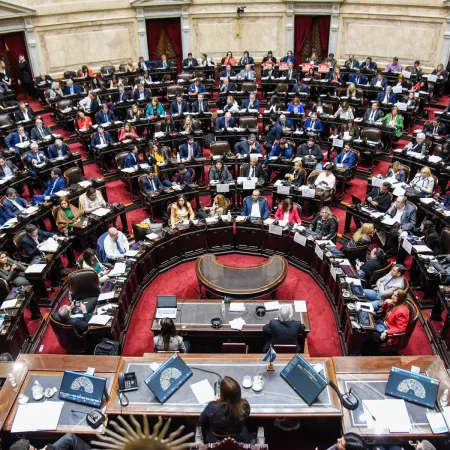 Senado debate la reforma de Salud Mental: internaciones involuntarias y adicciones