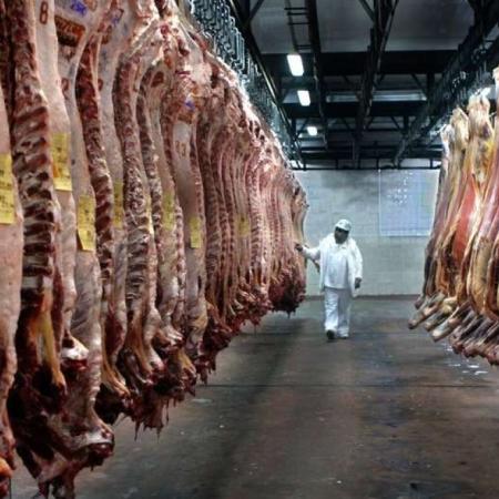 Consorcio ABC: cayó la faena y los precios de la carne vacuna siguen bajo presión