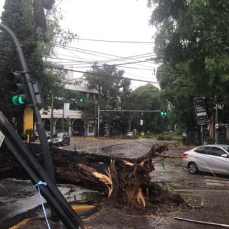 Temporal en el AMBA: ráfagas de 100 km/h y miles de usuarios sin luz
