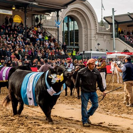 Qué pasó en el agro: interna en la SRA y pesca en alerta en Mar del Plata