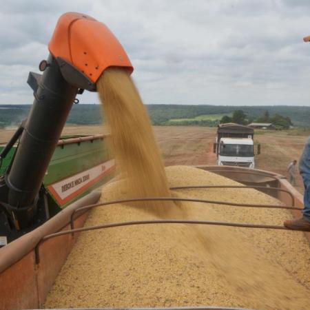 Brasil estima una cosecha récord de soja: qué número esperan