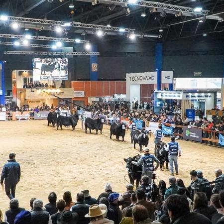 La Asociación Argentina de Angus presentó la Expo de Otoño 2026 en La Rural