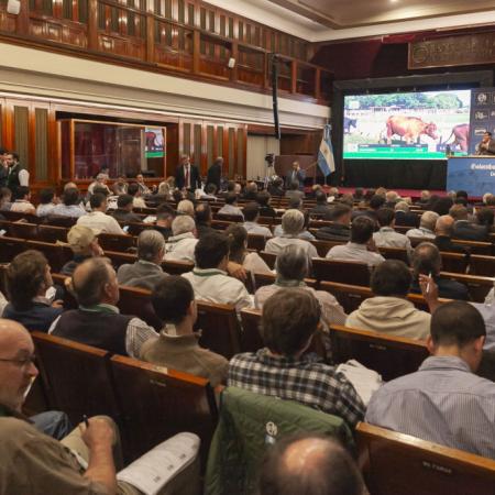 Cuáles fueron los valores de terneros y novillitos en el remate del Banco Nación