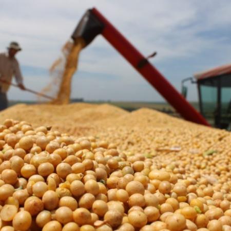 Argentina importará 1,4 millones de toneladas de soja paraguaya en el primer trimestre