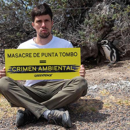 Caso Punta Tombo: el Tribunal define la condena por la matanza de pingüinos