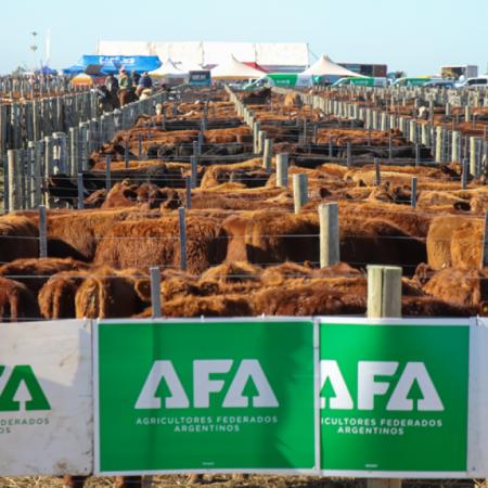 La renovada Agroactiva ganadera: más negocios, genética y lechería en un solo lugar