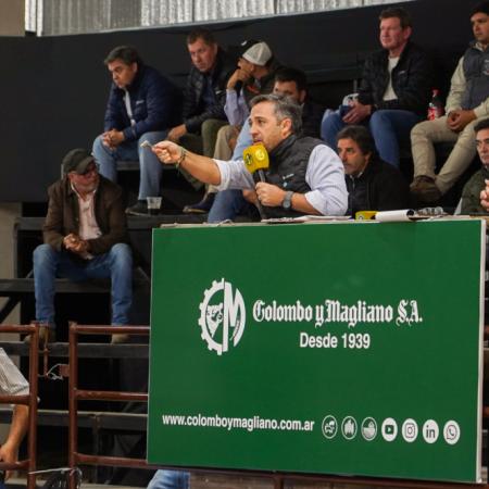 Remate récord en Corrientes: se pagaron $40 millones por el 50% de un toro Brahman