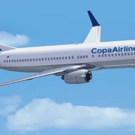Escándalo en Rosario: detenidos por intentar tener sexo en un avión