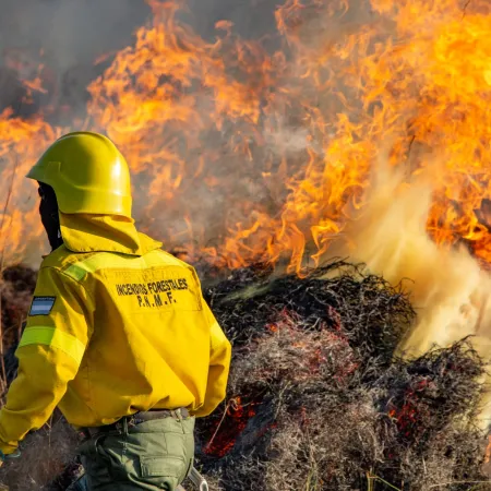 Día del Combatiente de Incendios Forestales: por qué su trabajo protege vidas