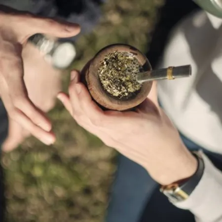 Exportar más yerba, vender mejor: el negocio que busca despegar en Asia