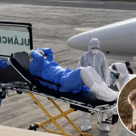 Qué es el hantavirus y por qué ya se habla de cuarentena, aislamiento y temor a una nueva pandemia