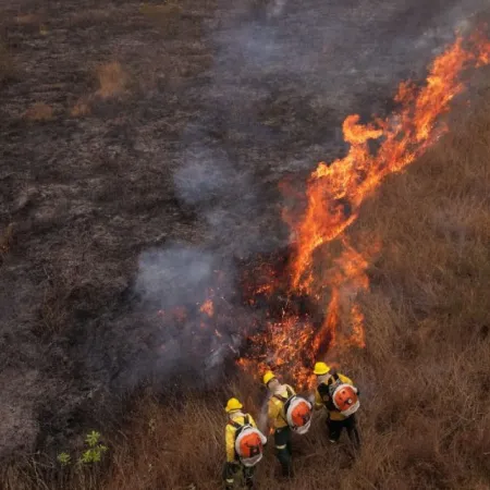 150 millones de hectáreas quemadas: el fuego ya mira a la mesa argentina