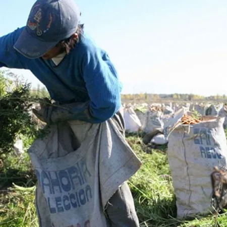 Peones rurales: el cambio de Milei que redefine salarios y abre una pelea