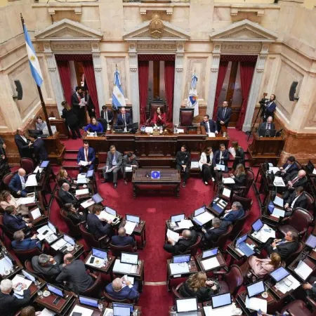 El Senado abrió el debate y Milei enfrenta resistencia por las PASO