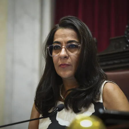 Senado dividido: el voto por Mahiques reavivó la grieta peronista y tensa al PJ