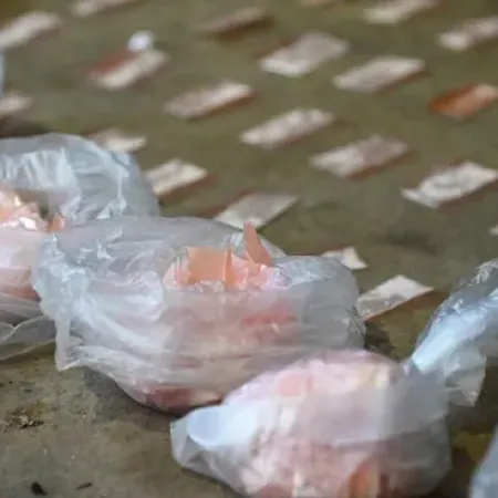 Alerta por rutas de droga: refuerzan controles en puntos estratégicos del país