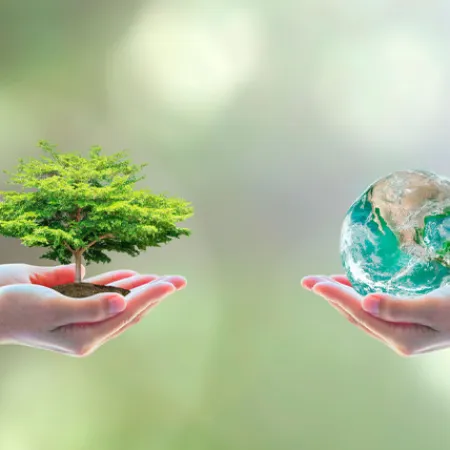 Sin biodiversidad, sube el precio de la comida y se complica el agua potable
