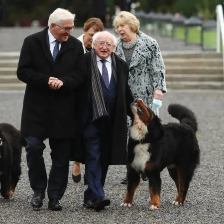 Los perros del presidente de Irlanda que conquistaron al mundo
