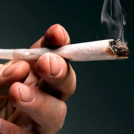 Legalización de la marihuana y amnistía: el polémico proyecto en Diputados