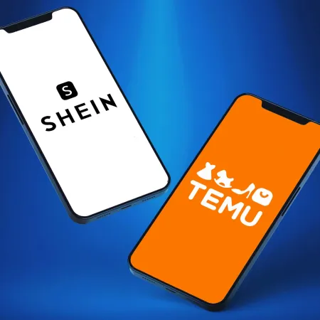 Temu y Shein en Argentina: el polémico proyecto que da vueltas en Diputados