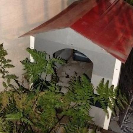 Escapó de la Policía, cruzó al Conurbano y terminó escondido en la cucha de un perro