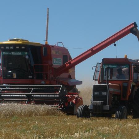 CONINAGRO pidió bajar a cero las retenciones al trigo y apuntó al costo fiscal